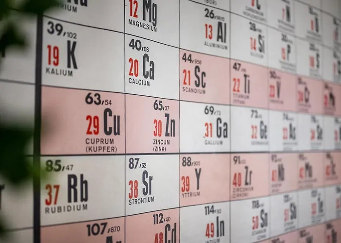 Altstadtjuwel Mit Loft Charme - Netflix